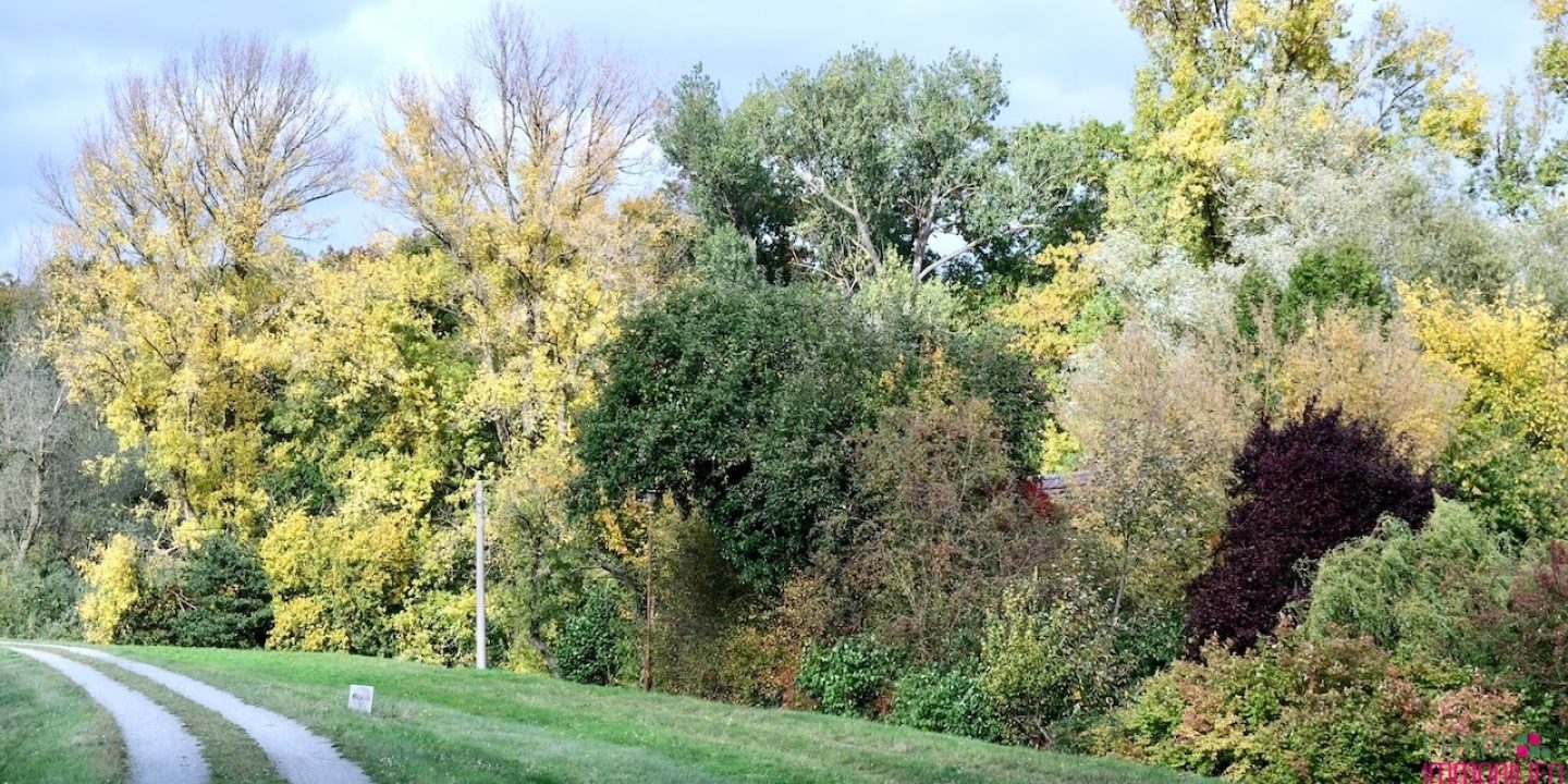 Grundstück vom Deich aus