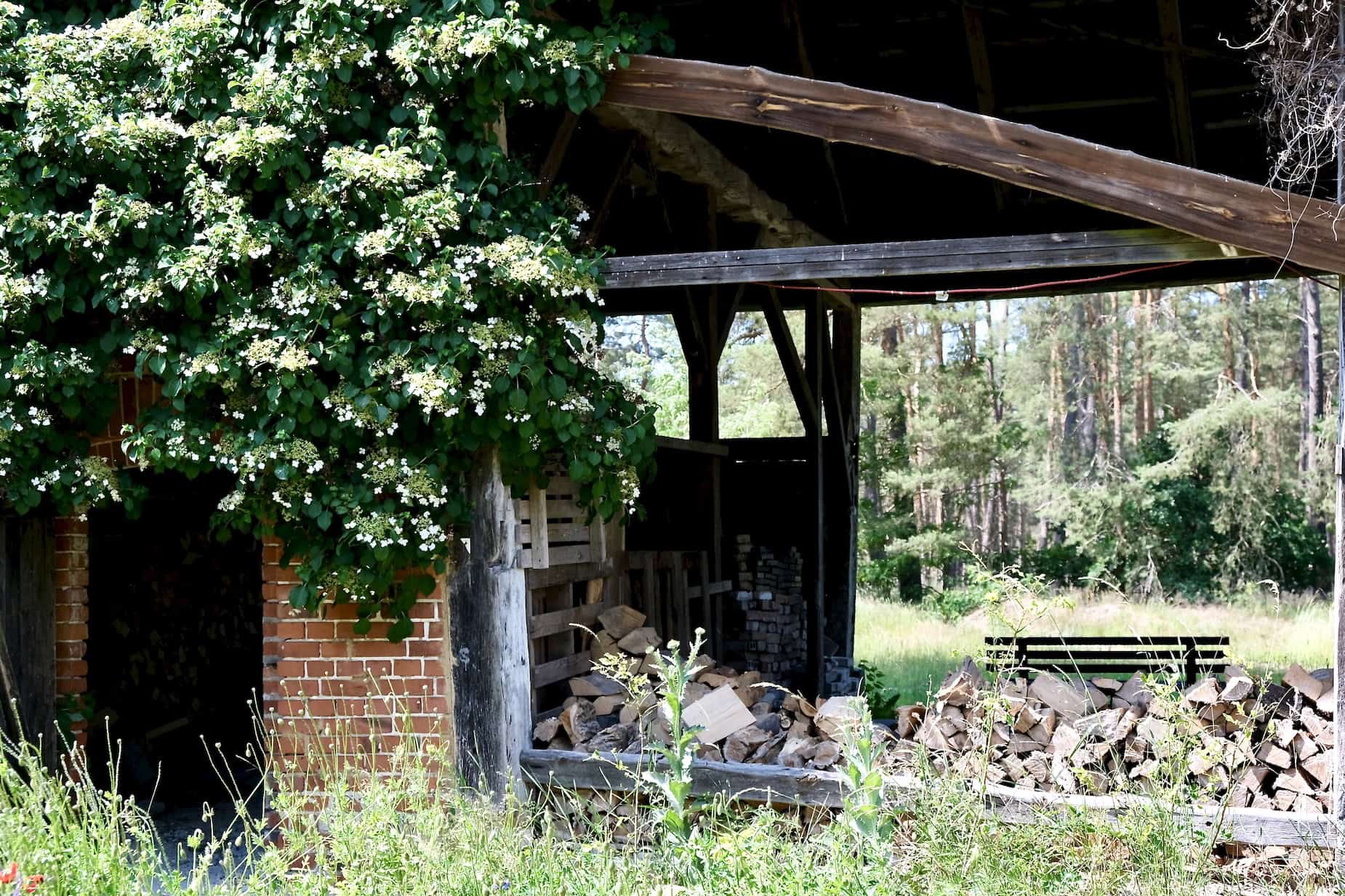 Scheune offen mit Stallgbäude