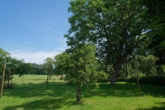 Blick zur Wiese - Gepflegtes Bauernhaus mit Scheune und großem Grundstück