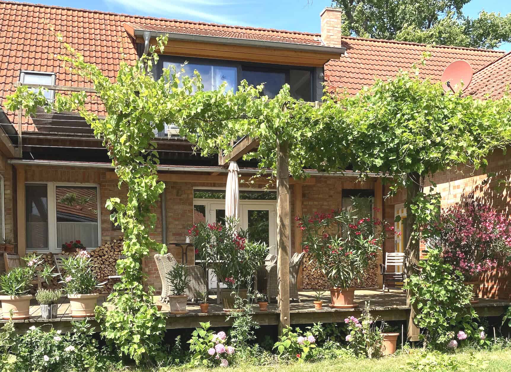 Lieblingsplatz mit Wein überrankt