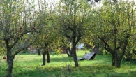 Obstgarten - Ruhig wohnen zwischen Obstbäumen und Ostsee – Einfamilienhaus mit Charme zum Gestalten