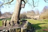 Frühblüher - Raum für Leben, Raum für Wirkung – Historische Villa in Dömitz