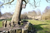 Frühblüher - Raum für Leben, Raum für Wirkung – Historische Villa in Dömitz