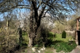 Gartenatmosphäre - Wunderschöne Villa mit Vorgarten und großzügigem Grundstück an der Dove-Elbe