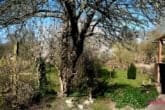 Gartenatmosphäre - Raum für Leben, Raum für Wirkung – Historische Villa in Dömitz