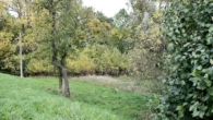 Bild - Grundstück am Elbdeich in der Lenzerwische – Natur pur und unverbaute Weite
