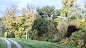 Grundstück am Elbdeich in der Lenzerwische – Natur pur und unverbaute Weite, 19309 Baarz, Freizeit