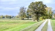 Elbdeich - Grundstück am Elbdeich in der Lenzerwische – Natur pur und unverbaute Weite
