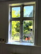 Blick in den Garten