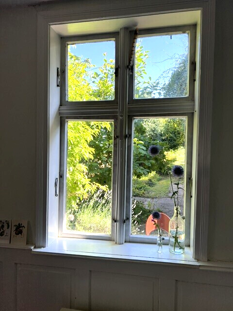 Blick in den Garten