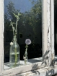 Impressionen
