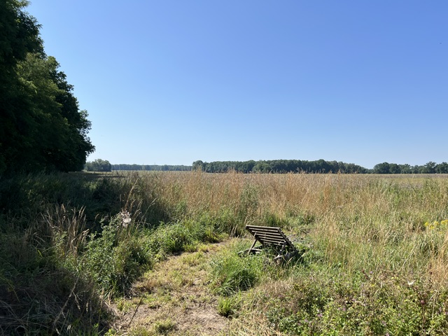 Weitblick