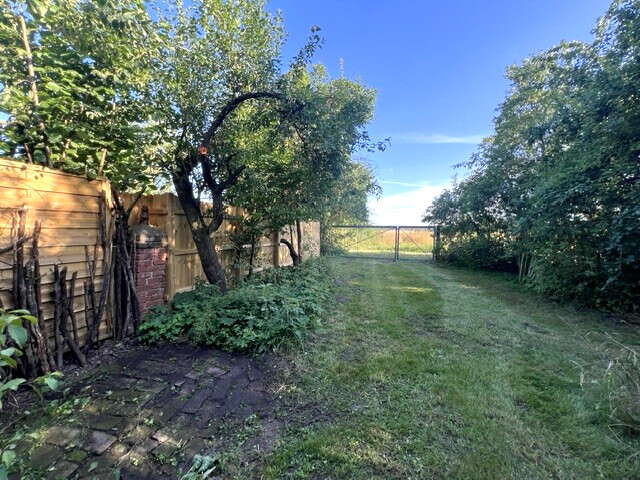 Blick zur Wiese