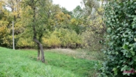 Naturgrundstück - Grundstück am Elbdeich in der Lenzerwische – Natur pur und unverbaute Weite