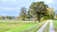 Elberadweg - Grundstück am Elbdeich in der Lenzerwische – Natur pur und unverbaute Weite