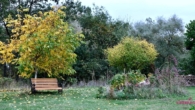 Garten in der Wische - Grundstück am Elbdeich in der Lenzerwische – Natur pur und unverbaute Weite